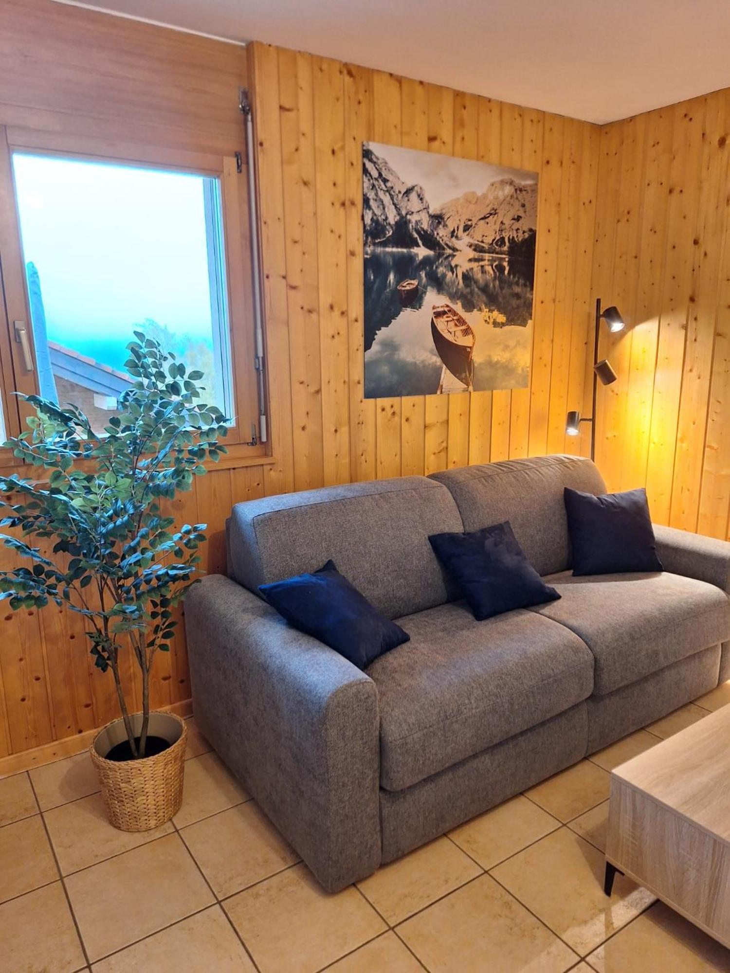 2,5 Plein Sud Avec Terrasse *